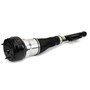 Reman Air Suspension Strut AS-3360