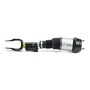 Reman Air Suspension Strut AS-3060