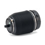 Air Suspension Spring Assembly-Rear A-2960