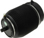 Air Suspension Spring Assembly-Rear A-2960
