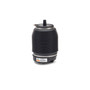 Air Suspension Spring Assembly-Rear A-2960