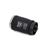 Air Suspension Spring Assembly-Rear Right A-2503