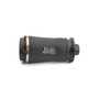 Air Suspension Spring Assembly-Rear A-3010