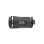 Air Suspension Spring Assembly-Rear A-3010