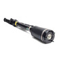 Reman Air Suspension Strut AS-2450
