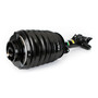 New Air Suspension Strut AS-3894