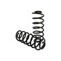 Air Spring to Coil Spring Conversion Kit C-2137