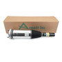 New Air Suspension Strut ASE-3826