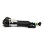 Reman Air Suspension Strut AS-3374