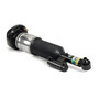 Reman Air Suspension Strut AS-3374