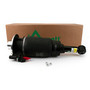 New Air Suspension Strut AS-3461