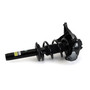 New Suspension Strut and Coil Spring Assembly SK-3842