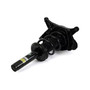 New Suspension Strut and Coil Spring Assembly SK-3842