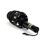 New Suspension Strut and Coil Spring Assembly SK-3393