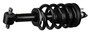 New Suspension Strut and Coil Spring Assembly SK-3354