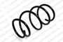 Coil Spring 4008446 - front view