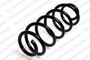 Coil Spring 4004236 - front view