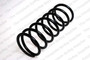 Coil Spring 4075733 - front view