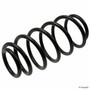 Coil Spring 4077811 - top view