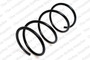 Coil Spring 4055423 - front view