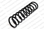 Coil Spring 4208427 - front view