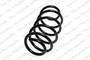 Coil Spring 4095085 - front view