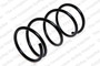 Coil Spring 4092516 - front view