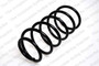 Coil Spring 4095811 - front view