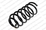 Coil Spring 4095046 - front view