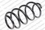 Coil Spring 4095097 - front view
