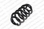 Coil Spring 4204251 - front view
