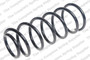 Coil Spring 4237247 - front view