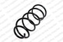 Coil Spring 4095834 - front view