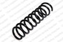 Coil Spring 4204231 - front view