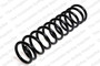 Coil Spring 4235735 - front view