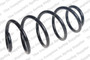 Coil Spring 4095147 - front view