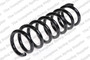 Coil Spring 4215615 - front view