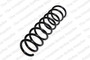Coil Spring 4208451 - front view