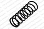 Coil Spring 4292501 - front view