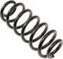 Coil Spring 4286001 - angled view