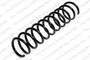 Coil Spring 4295826 - front view