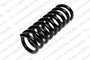 Coil Spring 4256844 - front view