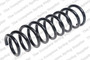 Coil Spring 4259256 - front view
