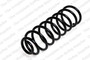 Coil Spring 4295029 - front view