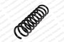 Coil Spring 4295840 - front view