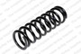 Coil Spring 4256819 - front view