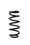 Coil Spring 06494 - front view