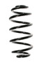 Coil Spring 39118 - front view