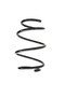 Coil Spring 06247 - front view