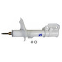 RS5000X Suspension Strut RS55816 - front view